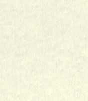 Astroparche White - Parchment 8 ½ X 11 - 65 lb. Cover (176 gsm)