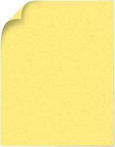 PopTone_BananaSplit_11X17_100lbC