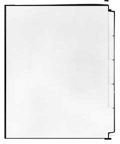 Reverse_CollatedTabs_White_5Tabs_11X8½_100lbI