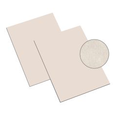 Skytone_NaturalCream_8½X11_60lbT