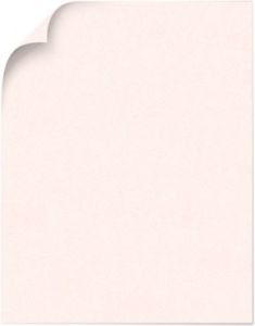 Construction_InsulationPink_11X17_100lbC