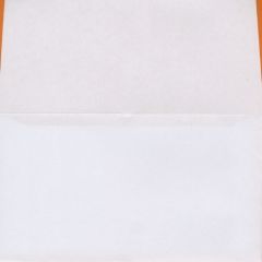 6¾_White_Wove _Remittance_24lb_Gum 