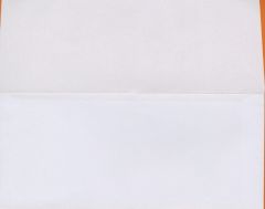 No9_White_Wove _Remittance_24lb_Gum 