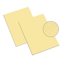 Astroparche Ancient Gold- Parchment 8 ½ X 11 - 65 lb. Cover (176 gsm)