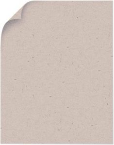 Speckletone_Oatmeal_11X17_80lbC
