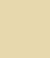 Esse Envelopes Pearlized Cocoa - Smooth No. 10 - 80 lb. (118 gsm) Peel & Seal Flap