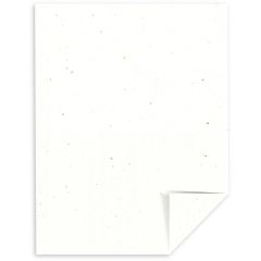 Astrobrights Stardust - Smooth 8 ½ X 11 -65 lb. Cover (176 gsm) 
