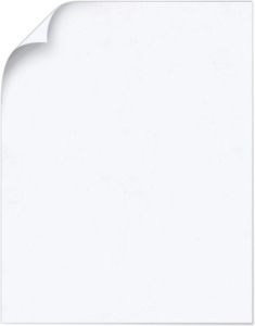 Parchtone_White_11X17_60lbT
