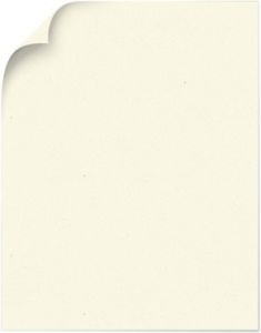 Construction_Whitewash_11X17_100lbC